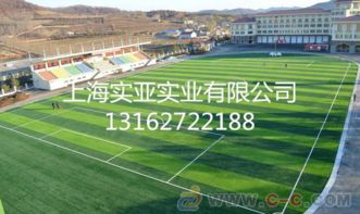上海人造草坪材料,建設(shè)人造草坪專(zhuān)業(yè)保養(yǎng)